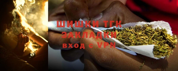прущие грибы Алексеевка