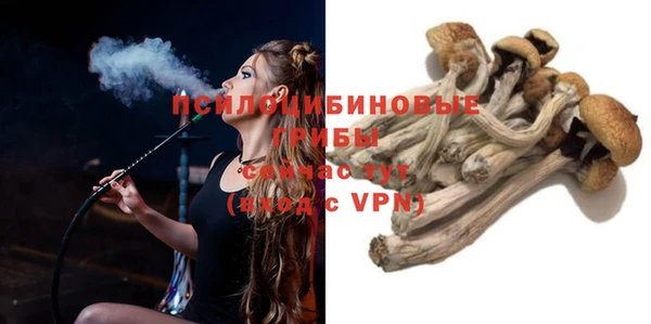 бошки Алексин