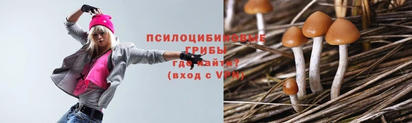 бошки Алексин