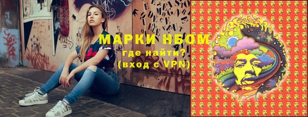бошки Алексин