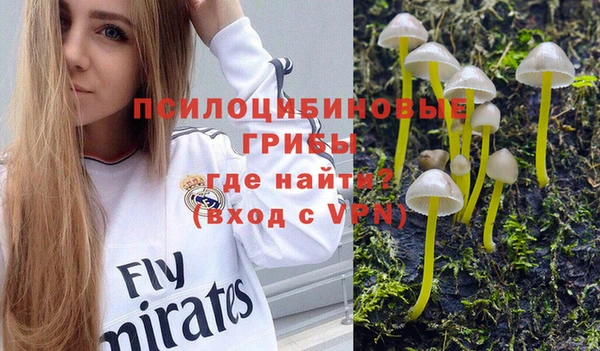 MDMA Premium VHQ Алзамай