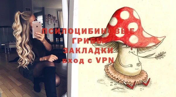 прущие грибы Алексеевка