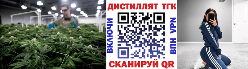 Дистиллят ТГК Wax  Купить где  Чекалин 