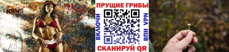 Купить  Чекалин  Галлюциногенные грибы GOLDEN TEACHER 